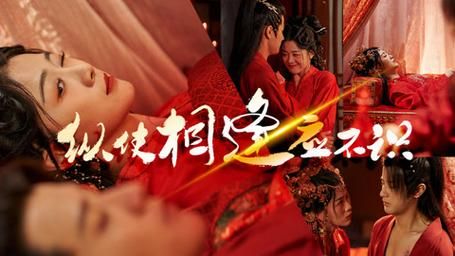 纵使相逢应不识 第61-80集