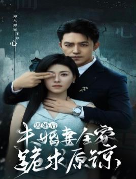 毁婚后未婚妻全家跪求原谅 第21-30集完结完结(大结局)