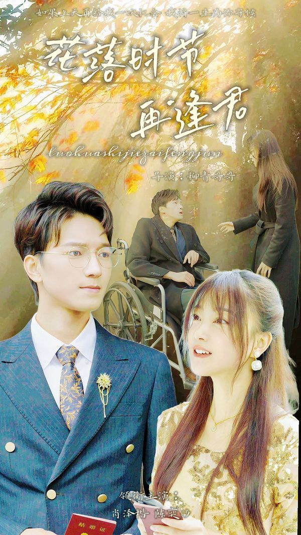 落花时节再逢君 第41-60集