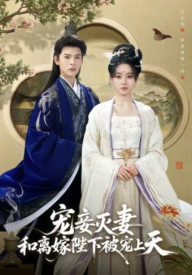 宠妾灭妻，和离嫁陛下被宠上天(全集)