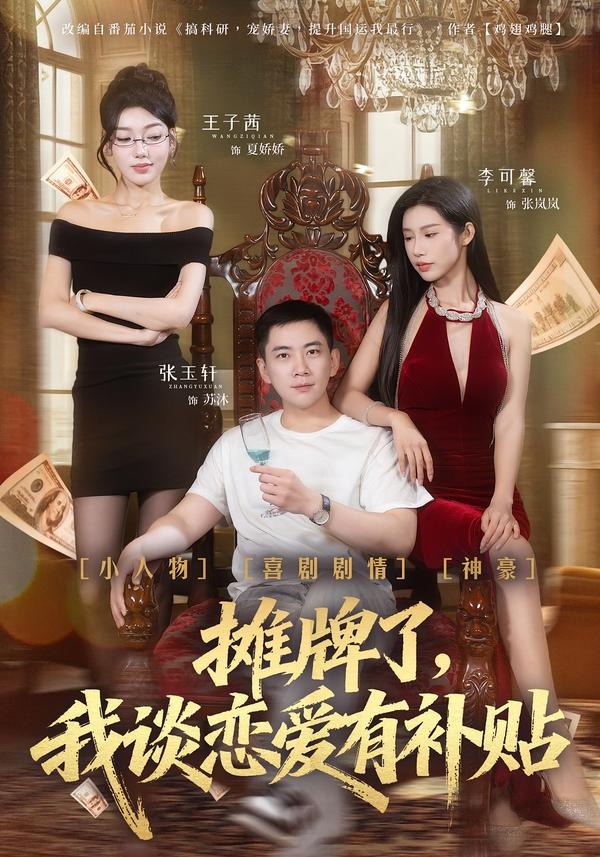 摊牌了，我谈恋爱有补贴(全集)