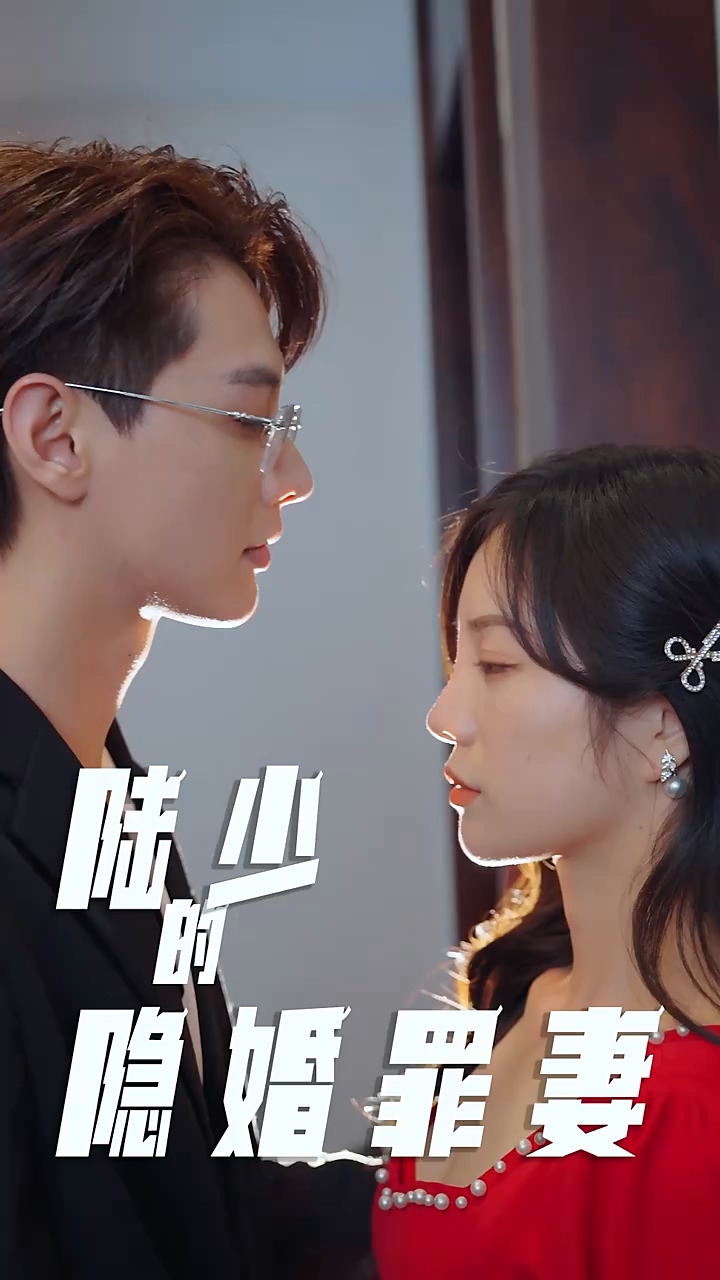 陆少的隐婚罪妻 第14集